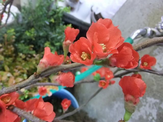 DSCF6853