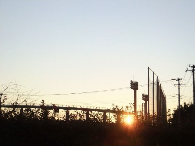 DSCF6653