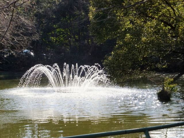 DSCF6724