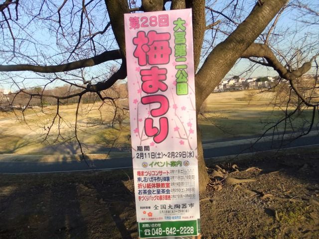 DSCF6827