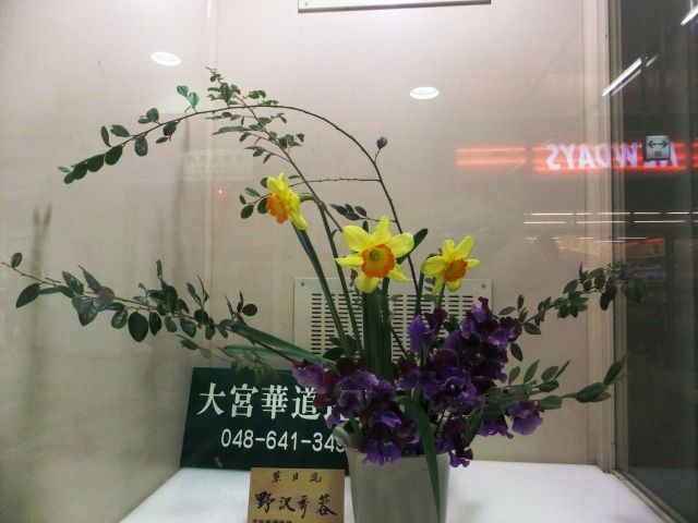 DSCF6575