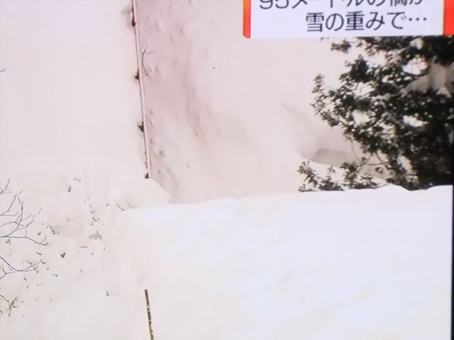 DSCF6635
