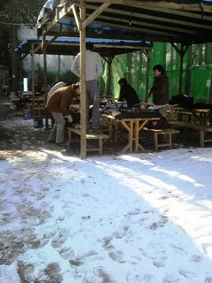 サホワイト雪
