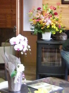 山DRオープン花