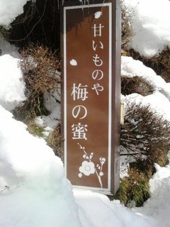 梅の蜜看板