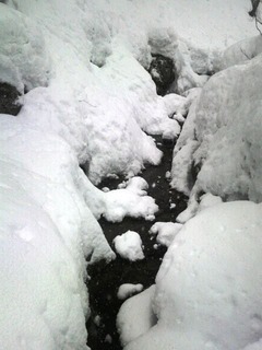 ホワイト小川雪