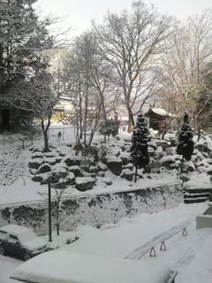 水上駐車場雪1