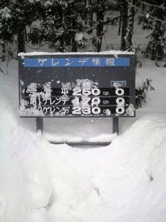 ホワイト250