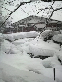 ホワイトロッジ雪