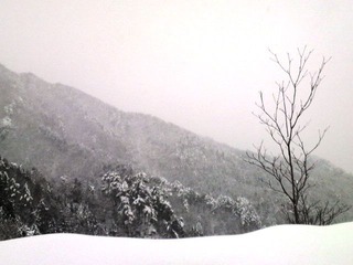 水上ドライブ雪山
