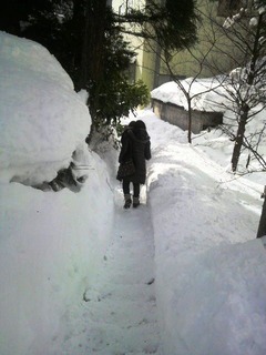 Sumika living雪道