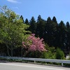 IMG_20170505_103143