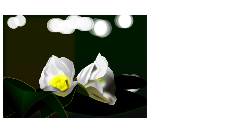 �ĤФ���2011.11.17