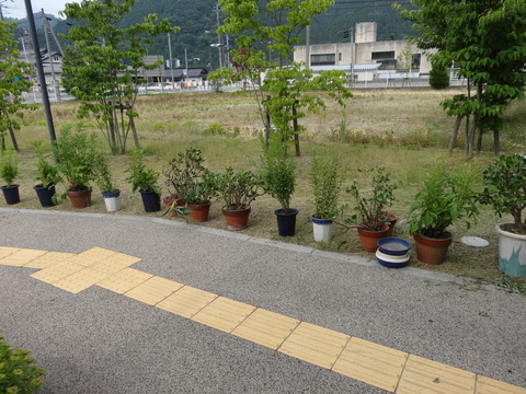 DSC00921