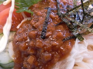 加須うどん 辻九の肉味噌うどんの肉味噌