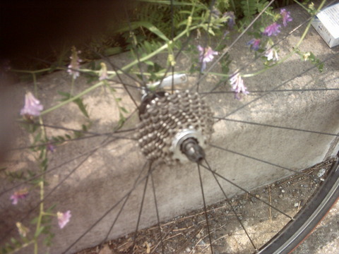 自転車をスタンバっておけ ...