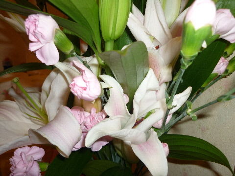 P1020162(1)