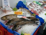 Sydney Fish Market