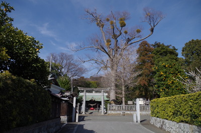 宗我神社