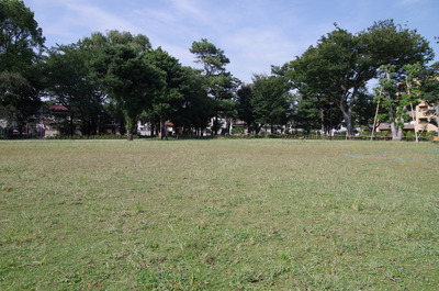国文学研究資料館跡地