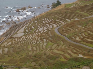 千枚田(1024x768)