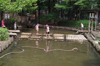 水もの