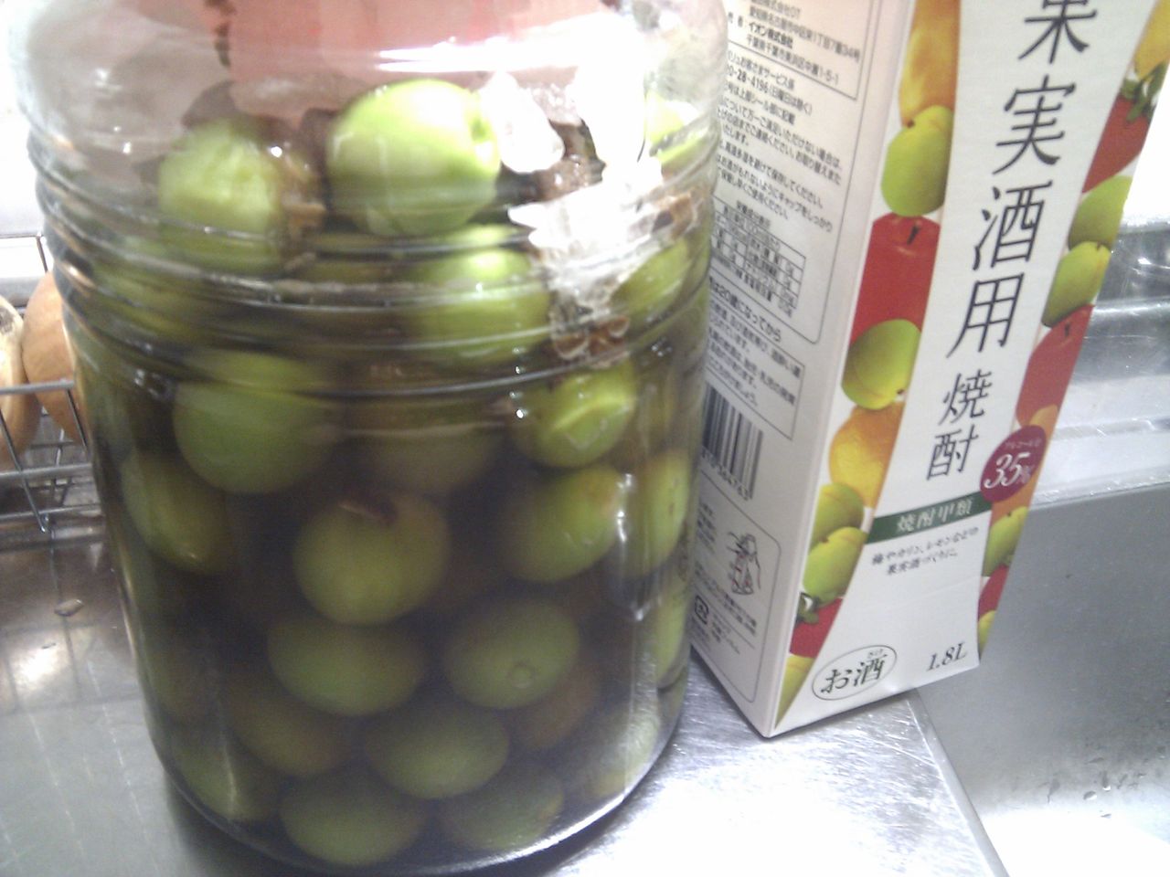 IMAG0248