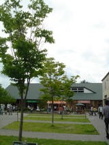 ŹƬ�ģ�