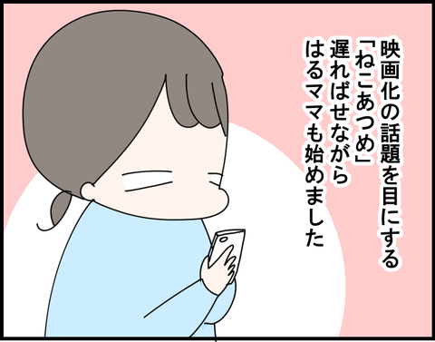 2-48-1