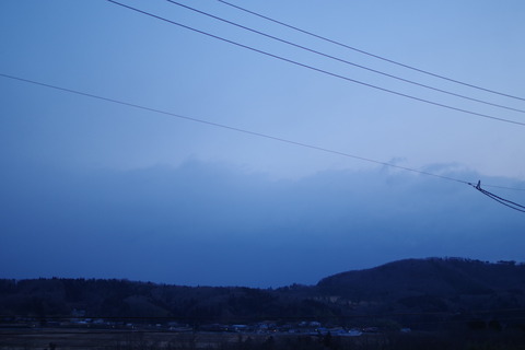 IMGP0551