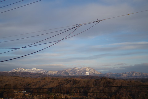 IMGP0445