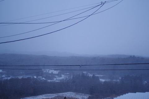 IMGP0555