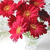 509016e5.jpg