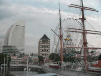 SANY0689