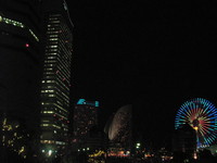SANY0693