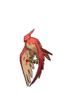 talonflame shiny
