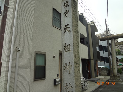 DSC08919