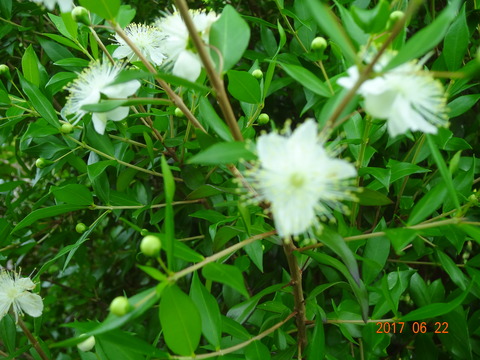 DSC08616
