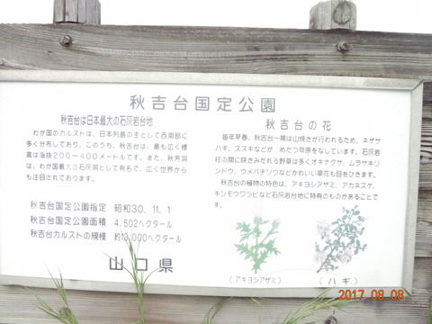DSC09510