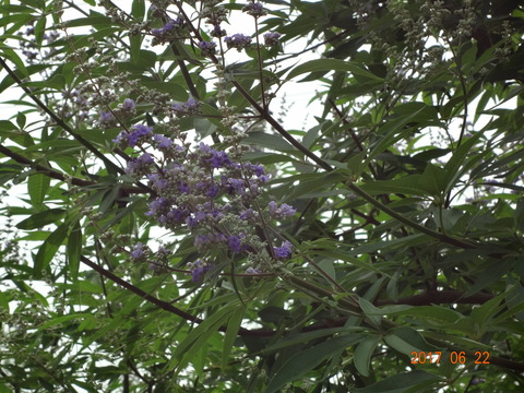 DSC08628