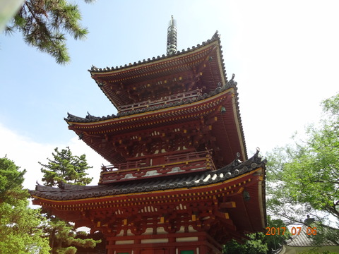 DSC09088