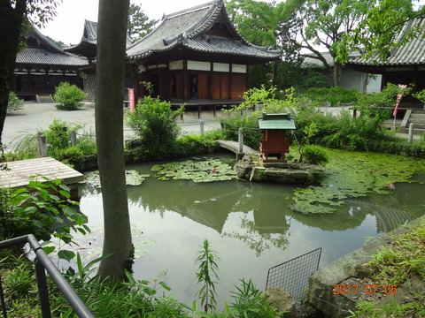DSC09152