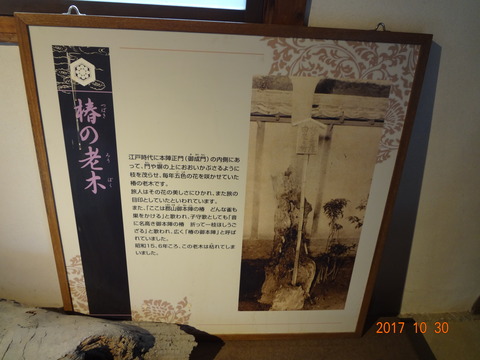 DSC09621