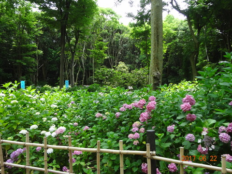 DSC08651