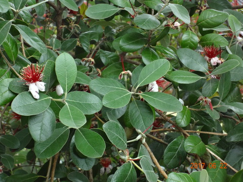 DSC08636