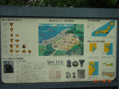 DSC08848