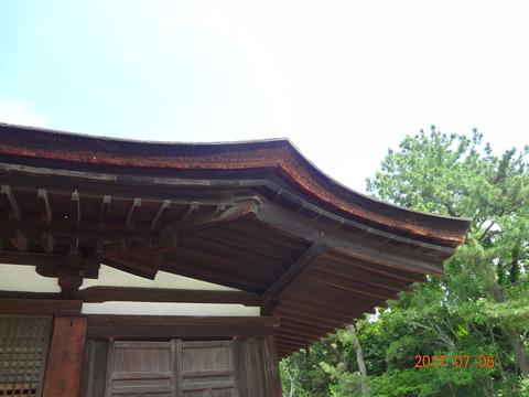 DSC09102