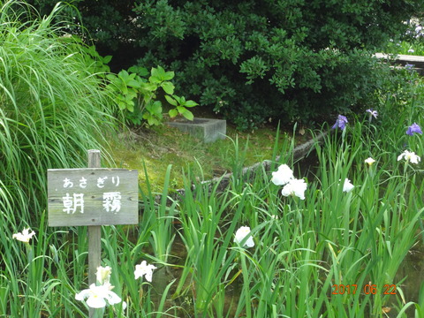 DSC08725