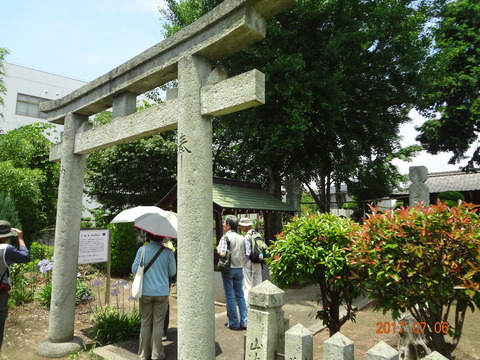 DSC09054