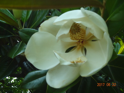 DSC08702